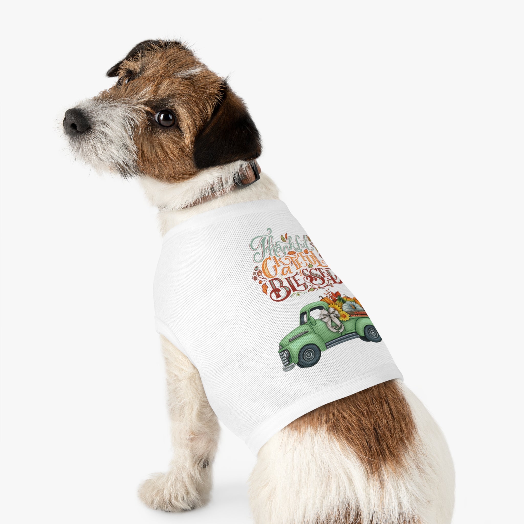 Thankful Pet Tank Top | Grateful & Blessed | Fall Dog Apparel | Cute Pet Outfit | Pumpkin Theme | Autumn Dog Clothing