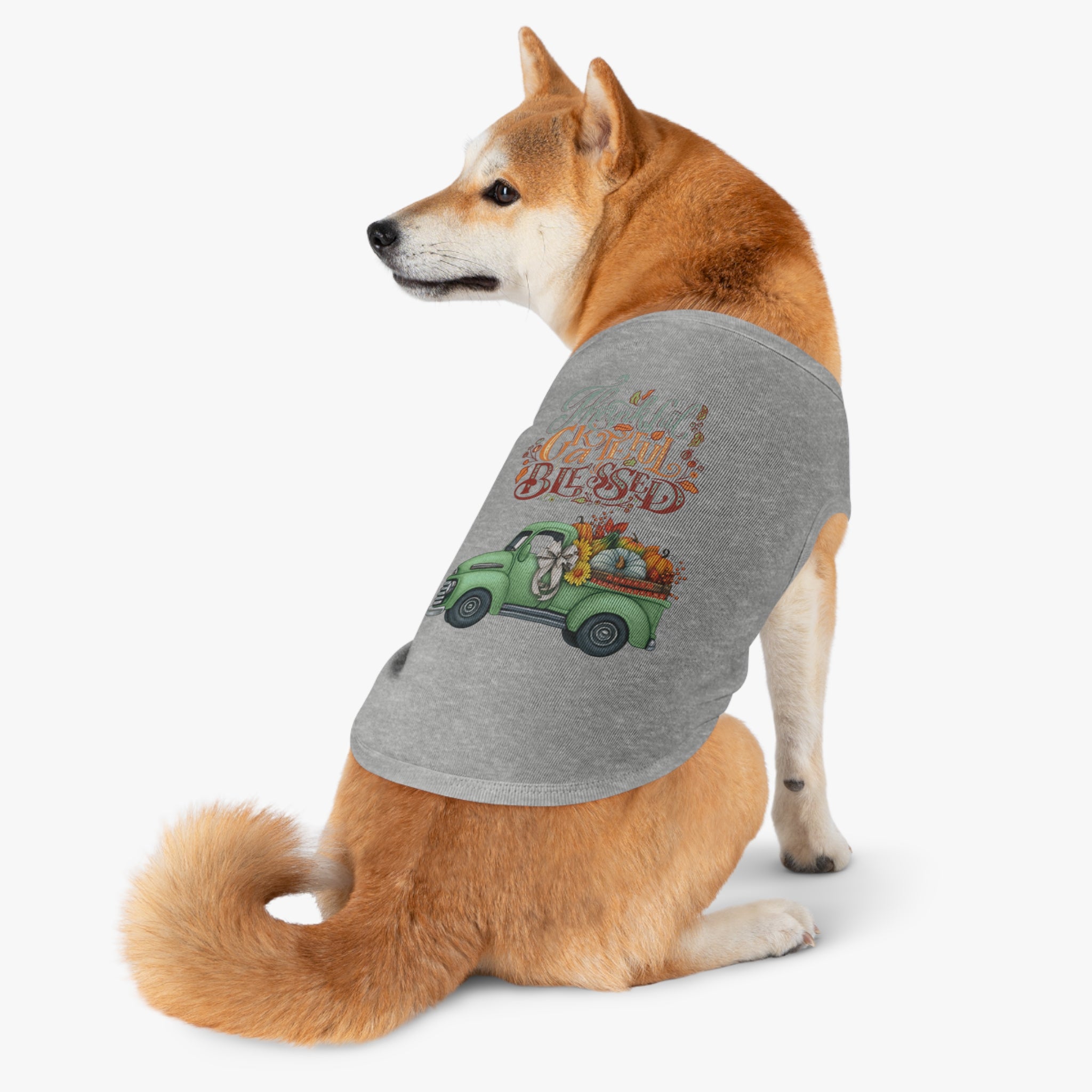 Thankful Pet Tank Top | Grateful & Blessed | Fall Dog Apparel | Cute Pet Outfit | Pumpkin Theme | Autumn Dog Clothing