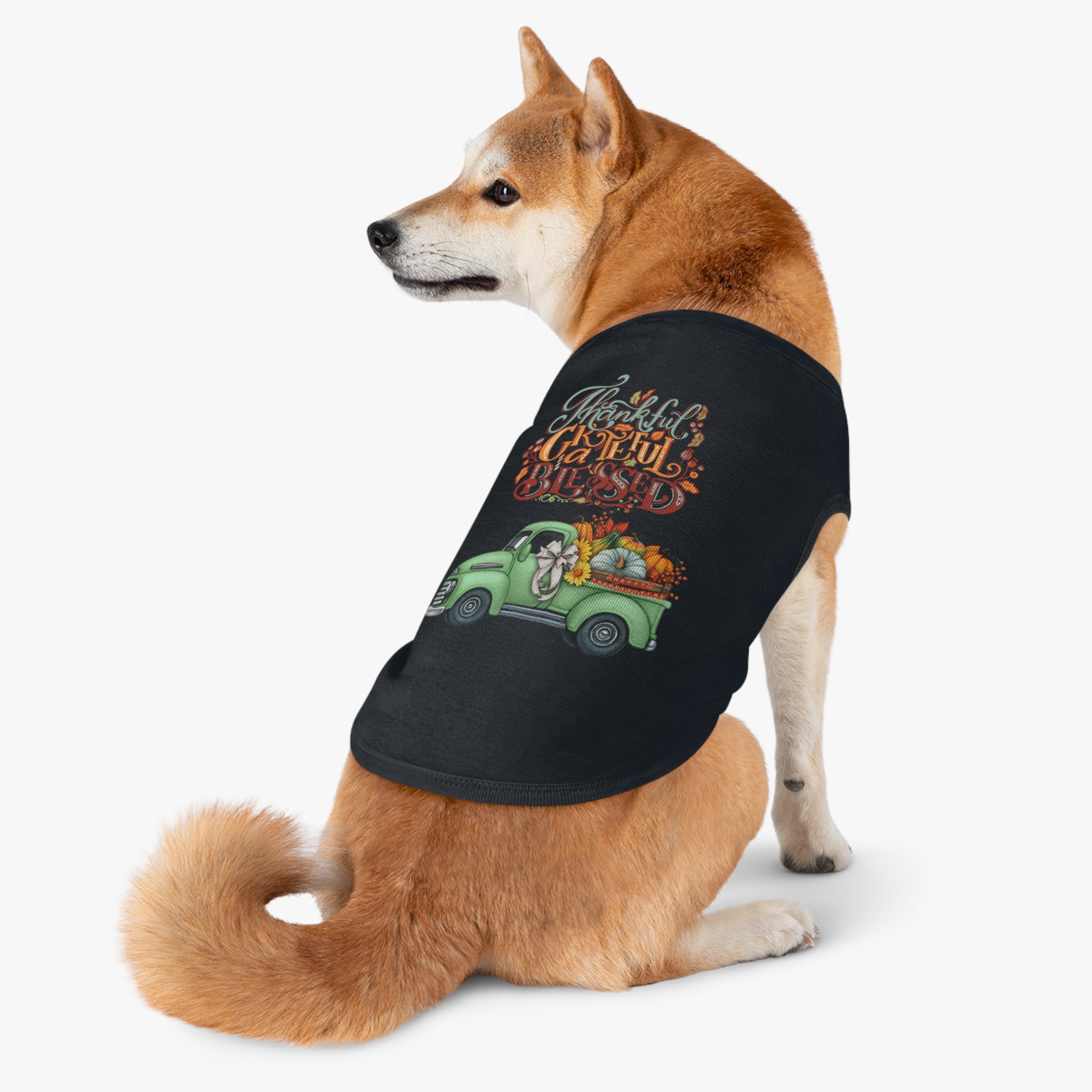 Thankful Pet Tank Top | Grateful & Blessed | Fall Dog Apparel | Cute Pet Outfit | Pumpkin Theme | Autumn Dog Clothing