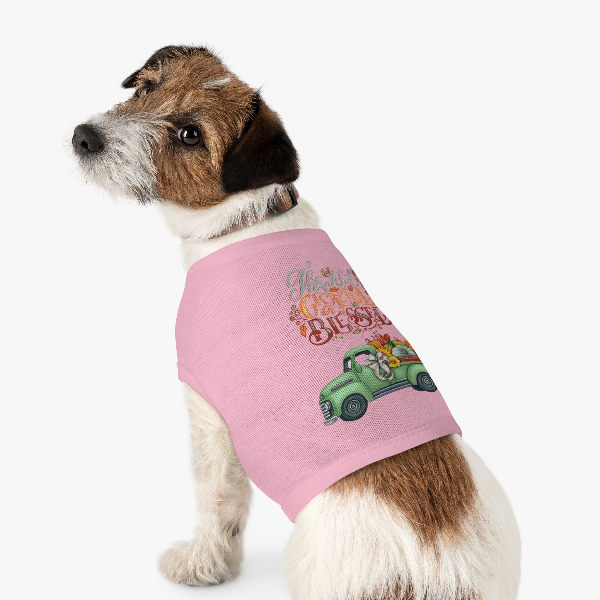 Thankful Pet Tank Top | Grateful & Blessed | Fall Dog Apparel | Cute Pet Outfit | Pumpkin Theme | Autumn Dog Clothing