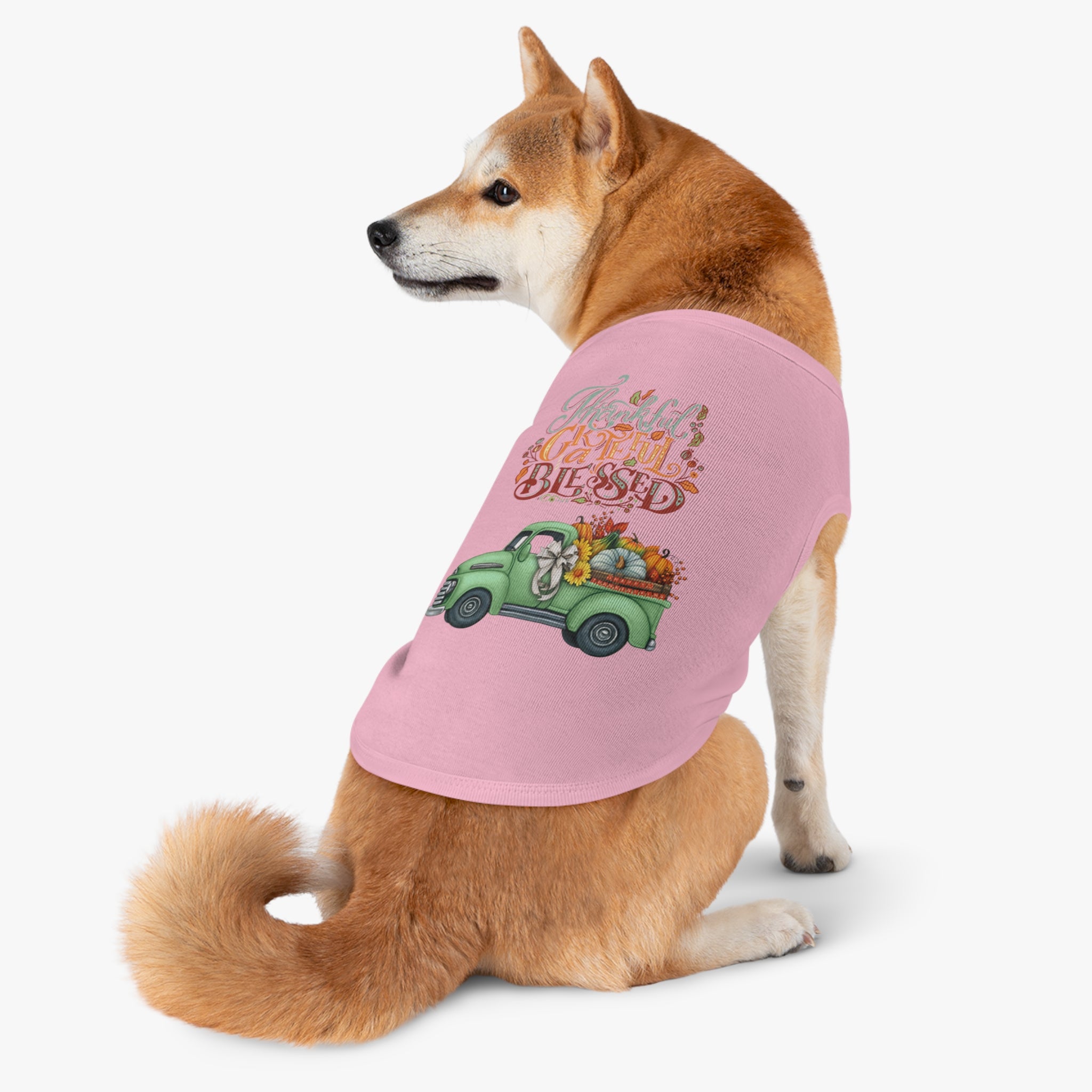 Thankful Pet Tank Top | Grateful & Blessed | Fall Dog Apparel | Cute Pet Outfit | Pumpkin Theme | Autumn Dog Clothing