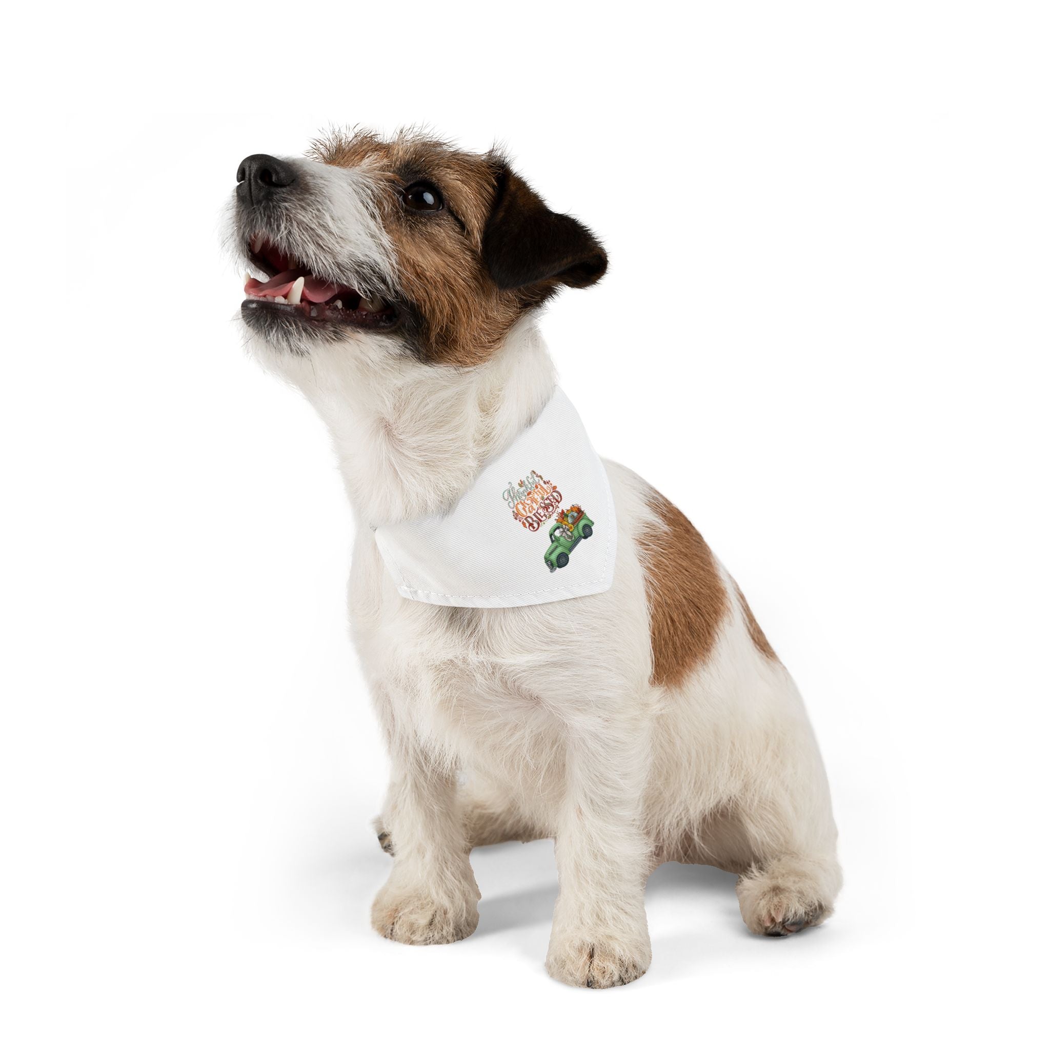 Small- Whimsical Pet Bandana Collar for Dog Lovers, Cute Dog Accessories, Holiday Pet Wear, Fun Gift for Pet Owners, Seasonal Pet Fashion-s-xl upon request
